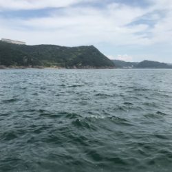 あちこちジギング