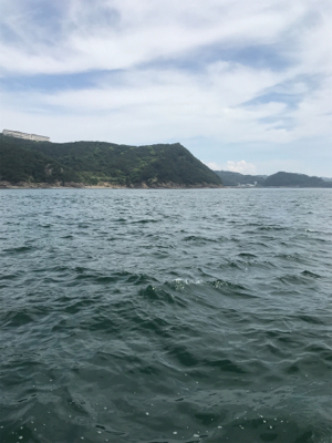 あちこちジギング