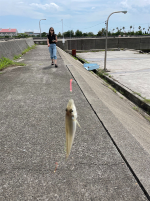 ちょい投げキス釣り