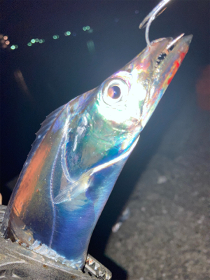 2021ライトゲーム第？戦