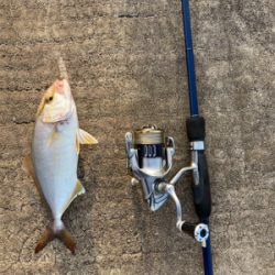 ライトショアキャスティング