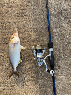 ライトショアキャスティング