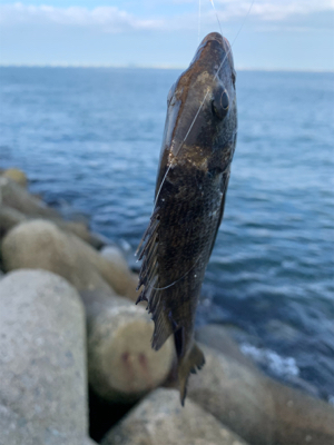 餌取りの先に…