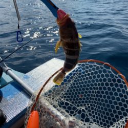 マイボートで久しぶりのアマダイ狙い！