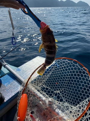 マイボートで久しぶりのアマダイ狙い！