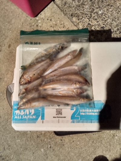 キッシング後のチーバシング？