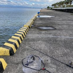 芦屋浜東護岸チヌ上がりました