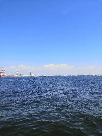 シーズン終盤でタコ5