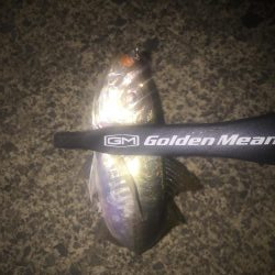 アジング二日目