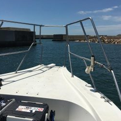 青物渋く、サビキを堪能