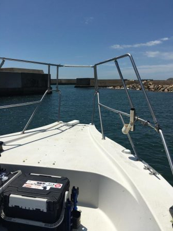 青物渋く、サビキを堪能