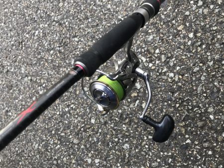 朝マズメ、太刀魚釣り