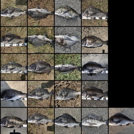 イチノ兄弟、釣果！