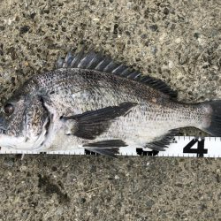 イチノ兄弟、釣果！