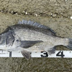 イチノ兄弟、釣果！