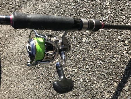 朝マズメの太刀魚釣り