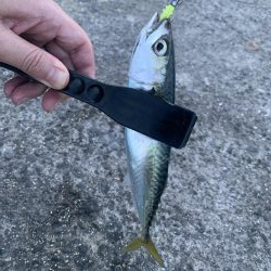 YES!ジギング NO!ぶっこみ