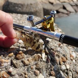 雨の合間を縫って