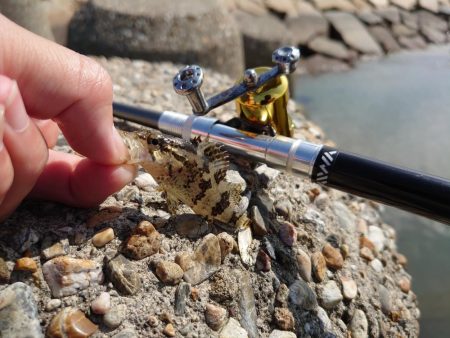 雨の合間を縫って