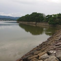 小物釣りの合間に