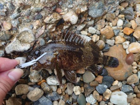 初場所で穴釣り