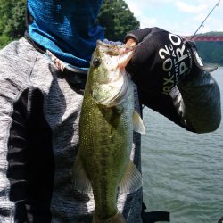 おかっぱリで数釣り！！