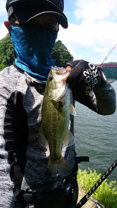 おかっぱリで数釣り！！