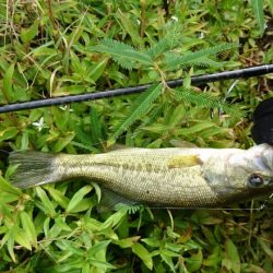 朝からハイプレッシャー！！