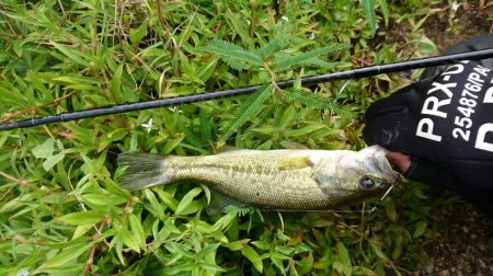 朝からハイプレッシャー！！