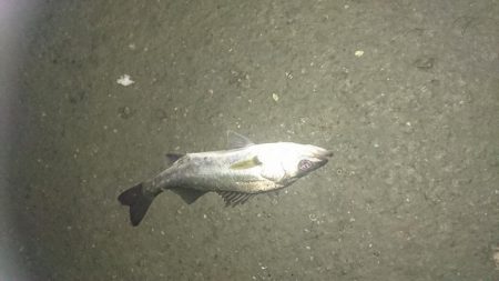 下げ止まりから