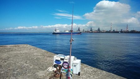 播磨新島のキス調査