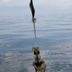 コロッケあがりました。