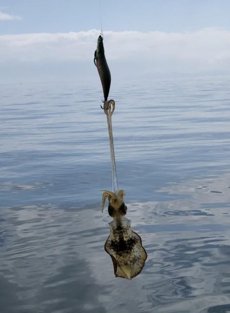 コロッケあがりました。