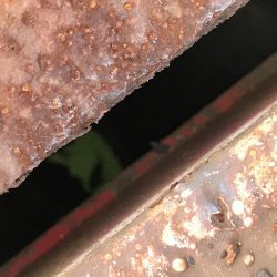 ヘチ釣り不発 子キビレのみ。