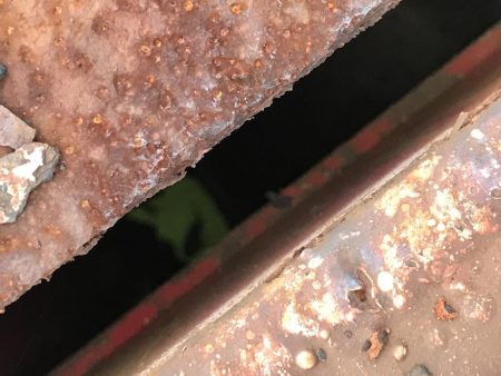 ヘチ釣り不発 子キビレのみ。