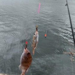 久しぶりの淡路島釣行