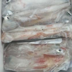 渋くなってきた