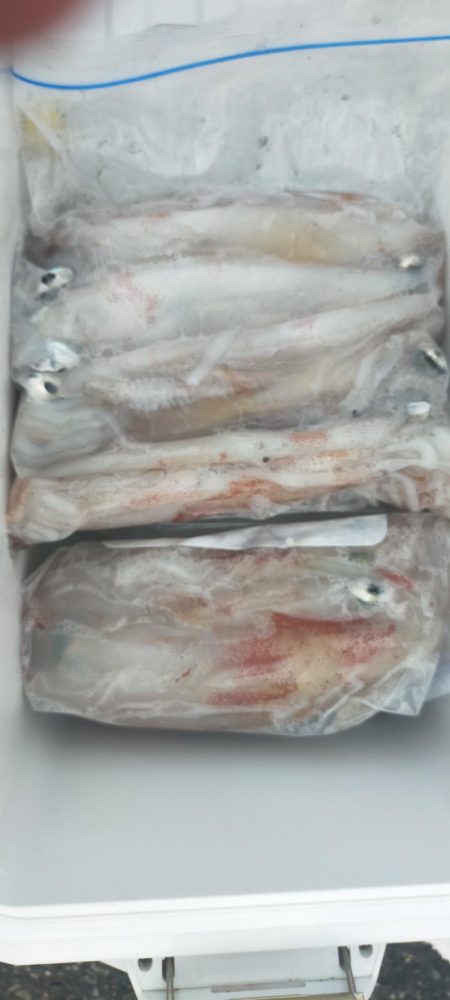 渋くなってきた