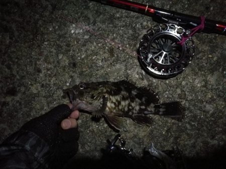 2021/08/25 南港ヘチ釣り