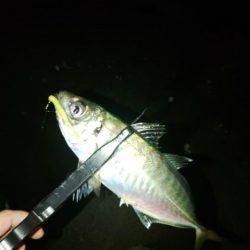 フロートゲーム～