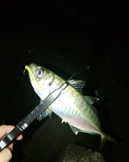 フロートゲーム～