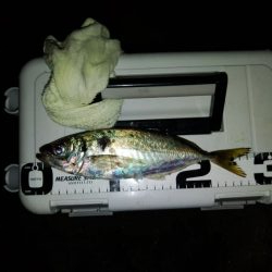 フロートゲーム～