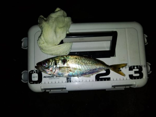 フロートゲーム～