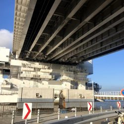 サイズが少し上がった舞洲のアジ