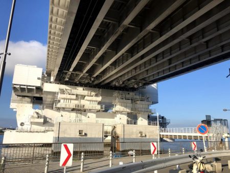 サイズが少し上がった舞洲のアジ