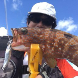 長崎　上五島　A.P.Pフィッシングガイドサービス　サバのナブラ発生