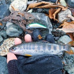 禁漁期間のその前に