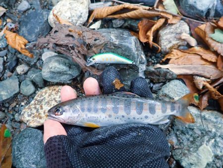 禁漁期間のその前に