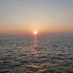 タチウオ　16時から31時まで釣行