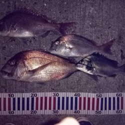 小豆島遠征part2